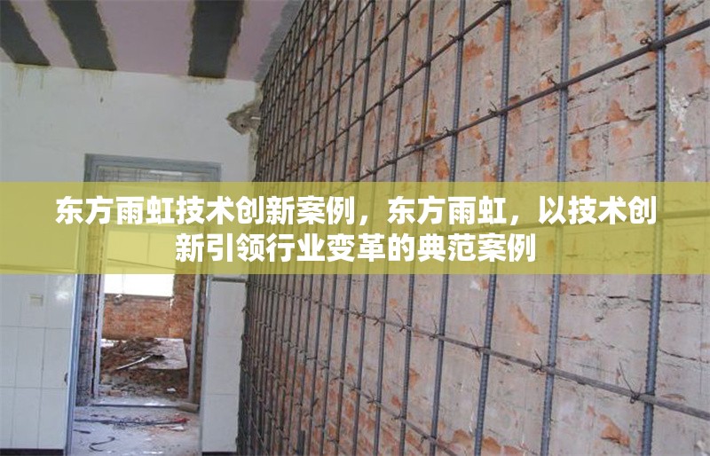 東方雨虹技術(shù)創(chuàng)新案例，東方雨虹，以技術(shù)創(chuàng)新引領(lǐng)行業(yè)變革的典范案例