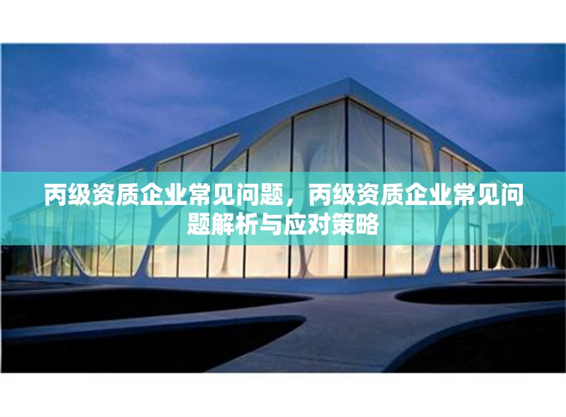 丙級(jí)資質(zhì)企業(yè)常見問(wèn)題，丙級(jí)資質(zhì)企業(yè)常見問(wèn)題解析與應(yīng)對(duì)策略