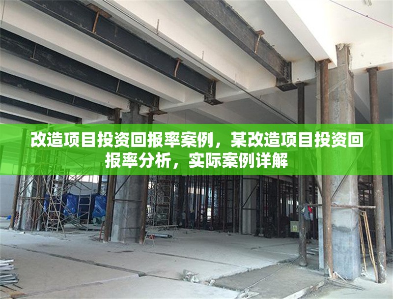 改造項(xiàng)目投資回報(bào)率案例，某改造項(xiàng)目投資回報(bào)率分析，實(shí)際案例詳解