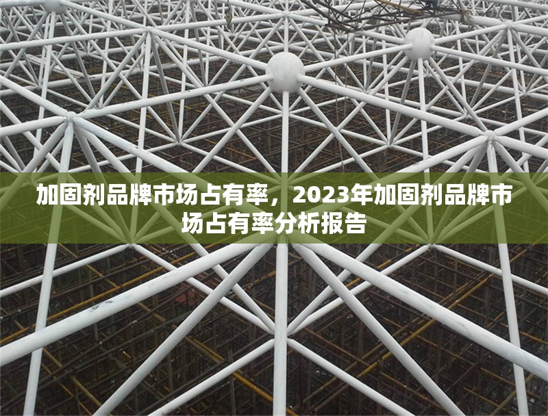加固劑品牌市場占有率，2023年加固劑品牌市場占有率分析報(bào)告