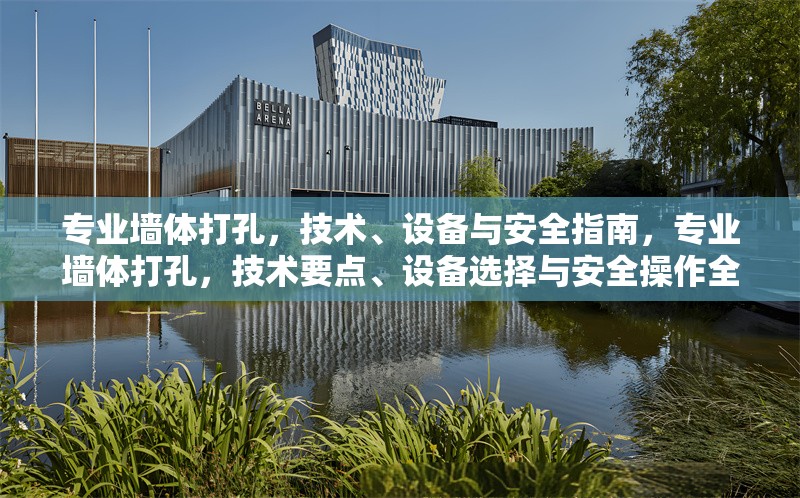 專業(yè)墻體打孔，技術(shù)、設(shè)備與安全指南，專業(yè)墻體打孔，技術(shù)要點、設(shè)備選擇與安全操作全指南