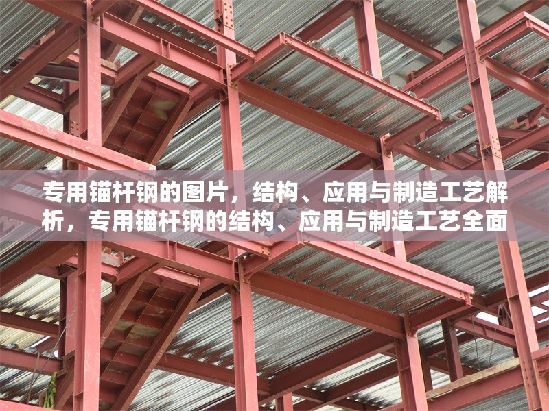 專用錨桿鋼的圖片，結(jié)構(gòu)、應(yīng)用與制造工藝解析，專用錨桿鋼的結(jié)構(gòu)、應(yīng)用與制造工藝全面解析