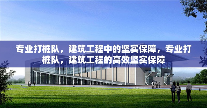 專業(yè)打樁隊，建筑工程中的堅實保障，專業(yè)打樁隊，建筑工程的高效堅實保障 行業(yè)新聞