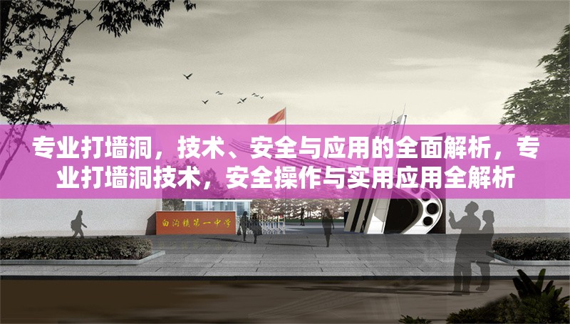 專業(yè)打墻洞，技術(shù)、安全與應(yīng)用的全面解析，專業(yè)打墻洞技術(shù)，安全操作與實(shí)用應(yīng)用全解析