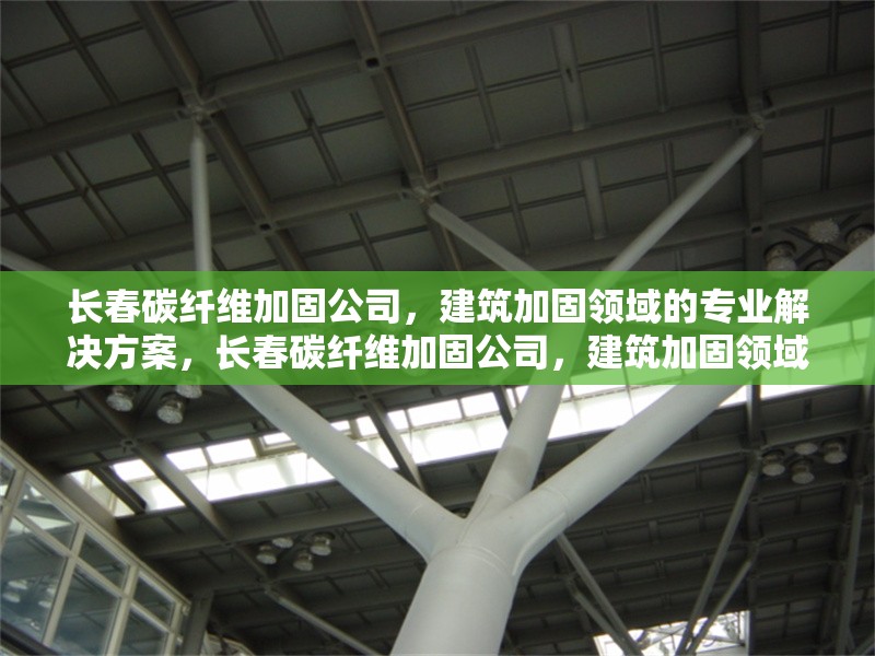 長(zhǎng)春碳纖維加固公司，建筑加固領(lǐng)域的專業(yè)解決方案，長(zhǎng)春碳纖維加固公司，建筑加固領(lǐng)域的專業(yè)解決方案專家