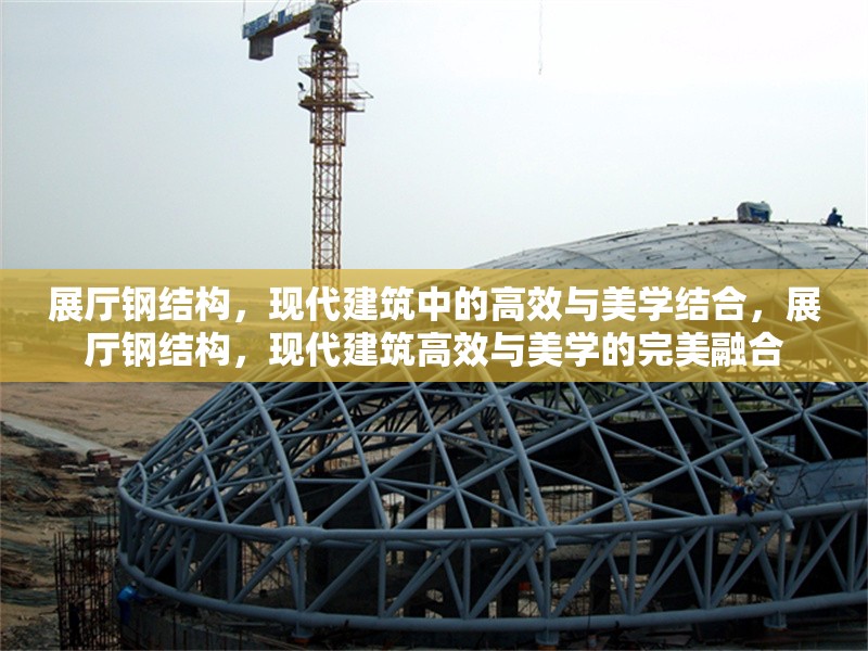 展廳鋼結(jié)構(gòu)，現(xiàn)代建筑中的高效與美學(xué)結(jié)合，展廳鋼結(jié)構(gòu)，現(xiàn)代建筑高效與美學(xué)的完美融合