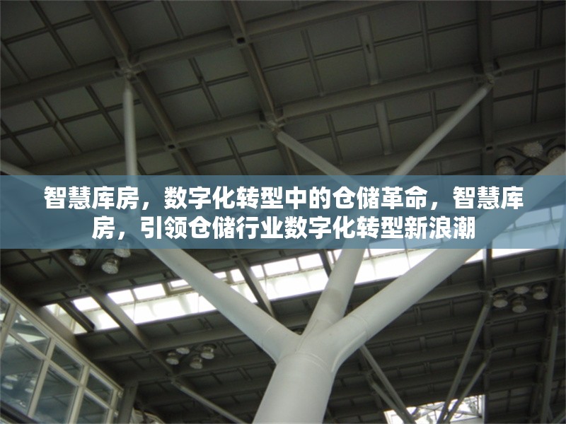 智慧庫房，數(shù)字化轉型中的倉儲革命，智慧庫房，引領倉儲行業(yè)數(shù)字化轉型新浪潮