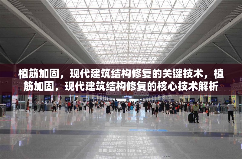 植筋加固，現(xiàn)代建筑結(jié)構(gòu)修復的關(guān)鍵技術(shù)，植筋加固，現(xiàn)代建筑結(jié)構(gòu)修復的核心技術(shù)解析 行業(yè)新聞