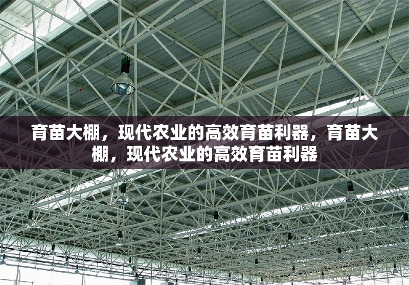 育苗大棚，現(xiàn)代農(nóng)業(yè)的高效育苗利器，育苗大棚，現(xiàn)代農(nóng)業(yè)的高效育苗利器