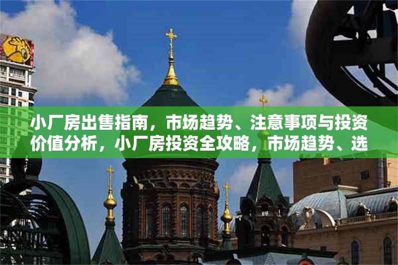 小廠房出售指南，市場趨勢、注意事項與投資價值分析，小廠房投資全攻略，市場趨勢、選購要點與價值評估 行業(yè)新聞