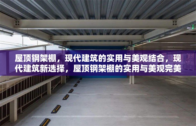 屋頂鋼架棚，現(xiàn)代建筑的實(shí)用與美觀結(jié)合，現(xiàn)代建筑新選擇，屋頂鋼架棚的實(shí)用與美觀完美融合 行業(yè)新聞