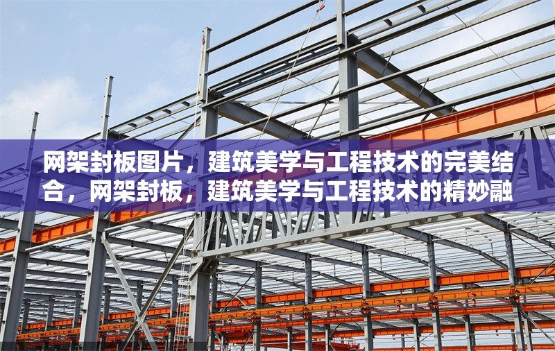 網(wǎng)架封板圖片，建筑美學(xué)與工程技術(shù)的完美結(jié)合，網(wǎng)架封板，建筑美學(xué)與工程技術(shù)的精妙融合，網(wǎng)架封板，建筑美學(xué)與工程技術(shù)的精妙融合 行業(yè)新聞