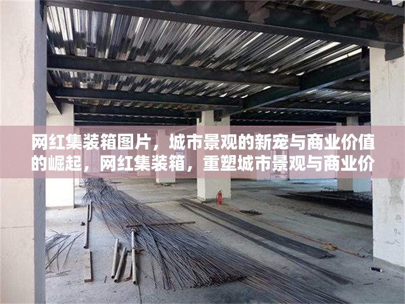 網(wǎng)紅集裝箱圖片，城市景觀的新寵與商業(yè)價值的崛起，網(wǎng)紅集裝箱，重塑城市景觀與商業(yè)價值的新潮流