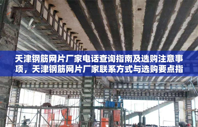 天津鋼筋網(wǎng)片廠家電話查詢指南及選購注意事項，天津鋼筋網(wǎng)片廠家聯(lián)系方式與選購要點指南