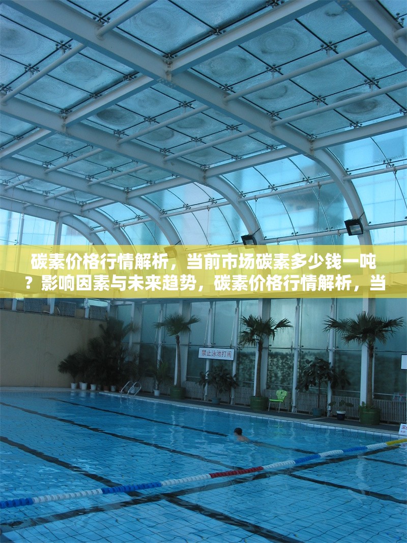 碳素價(jià)格行情解析，當(dāng)前市場(chǎng)碳素多少錢一噸？影響因素與未來(lái)趨勢(shì)，碳素價(jià)格行情解析，當(dāng)前市場(chǎng)價(jià)、影響因素及未來(lái)趨勢(shì)預(yù)測(cè) 行業(yè)新聞