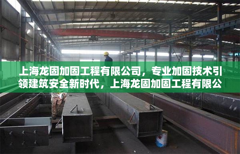 上海龍固加固工程有限公司，專業(yè)加固技術(shù)引領(lǐng)建筑安全新時代，上海龍固加固工程有限公司，專業(yè)加固技術(shù)引領(lǐng)建筑安全新時代 行業(yè)新聞