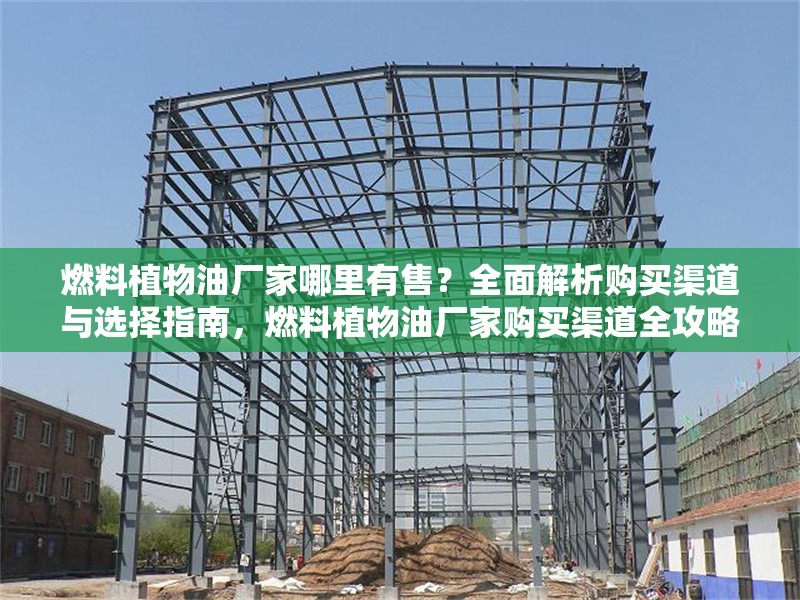 燃料植物油廠家哪里有售？全面解析購買渠道與選擇指南，燃料植物油廠家購買渠道全攻略，哪里買？怎么選？