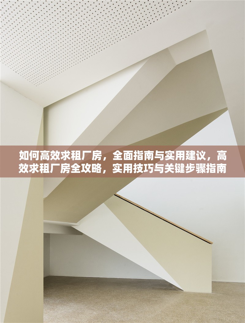 如何高效求租廠房，全面指南與實(shí)用建議，高效求租廠房全攻略，實(shí)用技巧與關(guān)鍵步驟指南