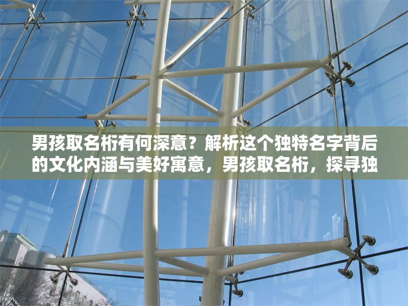 男孩取名桁有何深意？解析這個獨特名字背后的文化內(nèi)涵與美好寓意，男孩取名桁，探尋獨特名字背后的文化內(nèi)涵與美好寓意 行業(yè)新聞