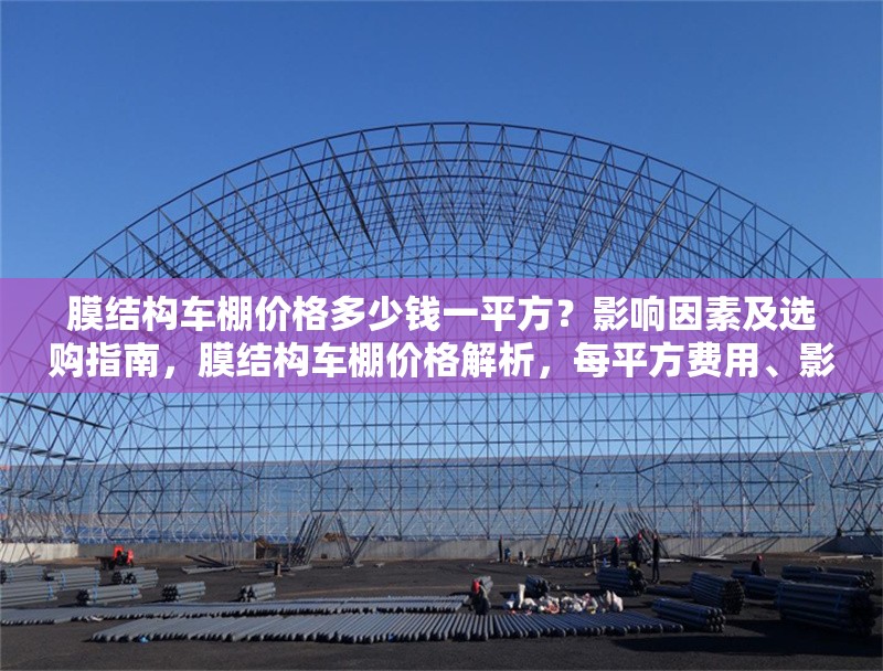 膜結(jié)構(gòu)車棚價格多少錢一平方？影響因素及選購指南，膜結(jié)構(gòu)車棚價格解析，每平方費用、影響因素與選購 行業(yè)新聞