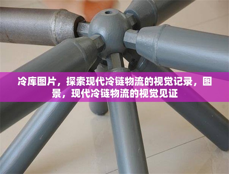 冷庫圖片，探索現(xiàn)代冷鏈物流的視覺記錄，圖景，現(xiàn)代冷鏈物流的視覺見證