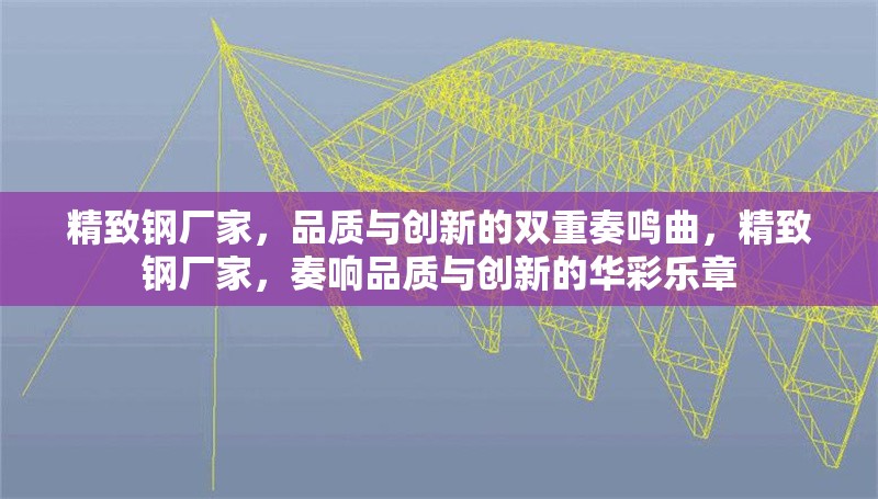 精致鋼廠家，品質(zhì)與創(chuàng)新的雙重奏鳴曲，精致鋼廠家，奏響品質(zhì)與創(chuàng)新的華彩樂章 行業(yè)新聞