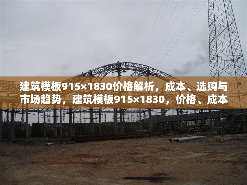 建筑模板915×1830價(jià)格解析，成本、選購(gòu)與市場(chǎng)趨勢(shì)，建筑模板915×1830，價(jià)格、成本、選購(gòu)及市場(chǎng)趨勢(shì)全 行業(yè)新聞