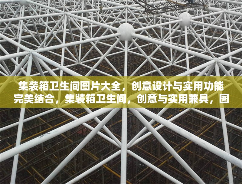 集裝箱衛(wèi)生間圖片大全，創(chuàng)意設(shè)計(jì)與實(shí)用功能完美結(jié)合，集裝箱衛(wèi)生間，創(chuàng)意與實(shí)用兼具，圖片