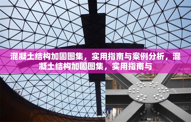 混凝土結(jié)構(gòu)加固圖集，實用指南與案例分析，混凝土結(jié)構(gòu)加固圖集，實用指南與