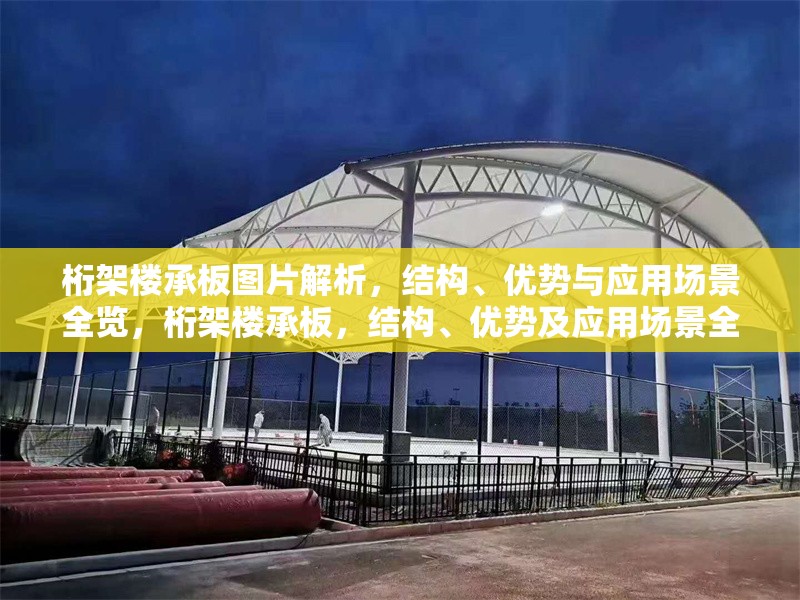 桁架樓承板圖片解析，結(jié)構(gòu)、優(yōu)勢與應(yīng)用場景全覽，桁架樓承板，結(jié)構(gòu)、優(yōu)勢及應(yīng)用場景全解析（