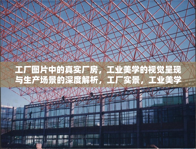 工廠圖片中的真實廠房，工業(yè)美學的視覺呈現(xiàn)與生產(chǎn)場景的深度解析，工廠實景，工業(yè)美學與生產(chǎn)場景