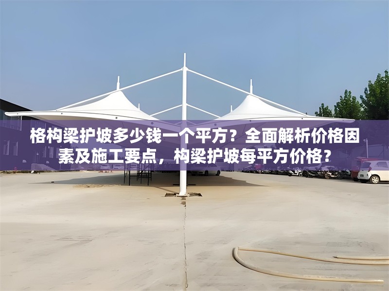 格構(gòu)梁護坡多少錢一個平方？全面解析價格因素及施工要點，構(gòu)梁護坡每平方價格？