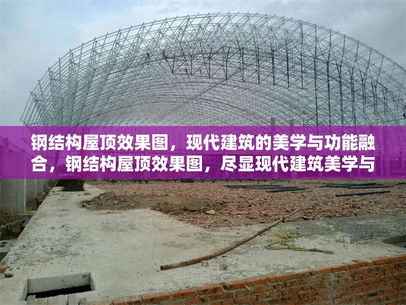 鋼結構屋頂效果圖，現代建筑的美學與功能融合，鋼結構屋頂效果圖，盡顯現代建筑美學與 行業(yè)新聞