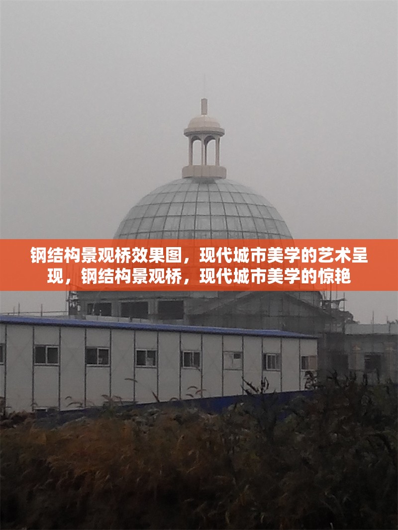 鋼結(jié)構(gòu)景觀橋效果圖，現(xiàn)代城市美學(xué)的藝術(shù)呈現(xiàn)，鋼結(jié)構(gòu)景觀橋，現(xiàn)代城市美學(xué)的驚艷