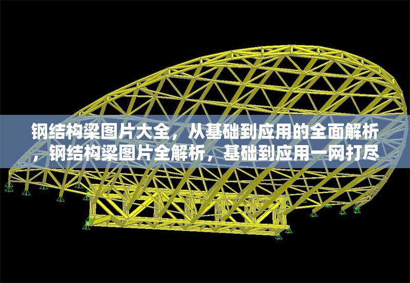 鋼結(jié)構(gòu)梁圖片大全，從基礎(chǔ)到應(yīng)用的全面解析，鋼結(jié)構(gòu)梁圖片全解析，基礎(chǔ)到應(yīng)用一網(wǎng)打盡