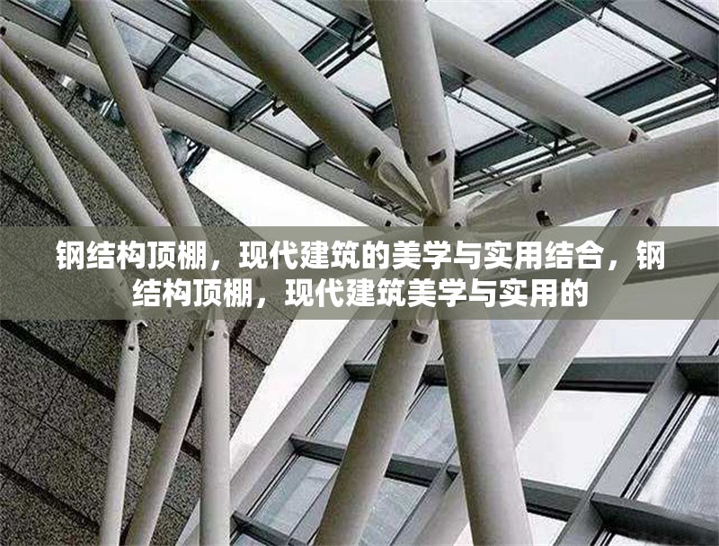 鋼結(jié)構(gòu)頂棚，現(xiàn)代建筑的美學(xué)與實用結(jié)合，鋼結(jié)構(gòu)頂棚，現(xiàn)代建筑美學(xué)與實用的