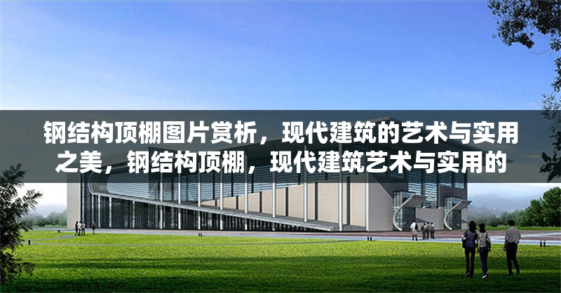鋼結(jié)構(gòu)頂棚圖片賞析，現(xiàn)代建筑的藝術(shù)與實(shí)用之美，鋼結(jié)構(gòu)頂棚，現(xiàn)代建筑藝術(shù)與實(shí)用的 行業(yè)新聞