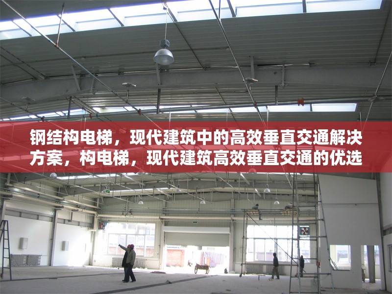 鋼結(jié)構(gòu)電梯，現(xiàn)代建筑中的高效垂直交通解決方案，構(gòu)電梯，現(xiàn)代建筑高效垂直交通的優(yōu)選