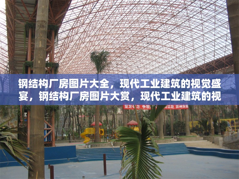 鋼結(jié)構(gòu)廠房圖片大全，現(xiàn)代工業(yè)建筑的視覺盛宴，鋼結(jié)構(gòu)廠房圖片大賞，現(xiàn)代工業(yè)建筑的視覺華章