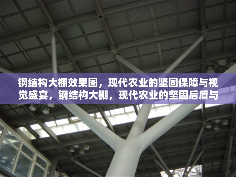 鋼結(jié)構(gòu)大棚效果圖，現(xiàn)代農(nóng)業(yè)的堅(jiān)固保障與視覺(jué)盛宴，鋼結(jié)構(gòu)大棚，現(xiàn)代農(nóng)業(yè)的堅(jiān)固后盾與 行業(yè)新聞