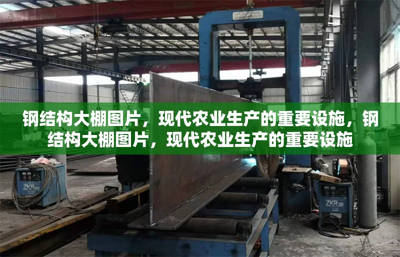 鋼結(jié)構(gòu)大棚圖片，現(xiàn)代農(nóng)業(yè)生產(chǎn)的重要設施，鋼結(jié)構(gòu)大棚圖片，現(xiàn)代農(nóng)業(yè)生產(chǎn)的重要設施 行業(yè)新聞