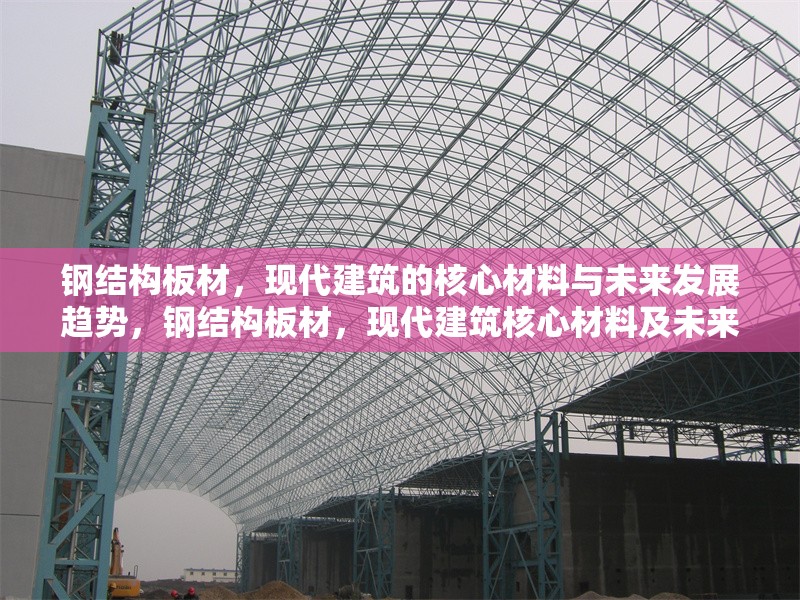 鋼結(jié)構(gòu)板材，現(xiàn)代建筑的核心材料與未來(lái)發(fā)展趨勢(shì)，鋼結(jié)構(gòu)板材，現(xiàn)代建筑核心材料及未來(lái) 行業(yè)新聞