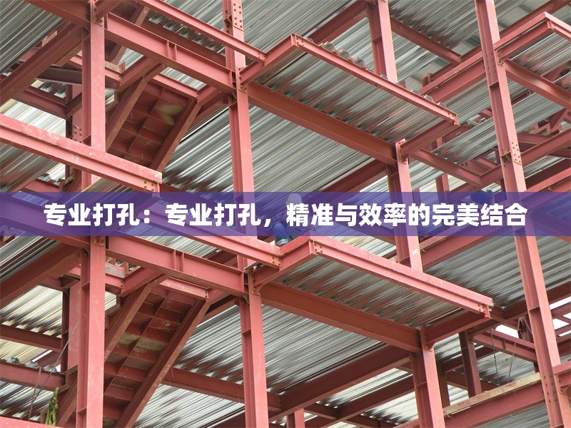 專業(yè)打孔：專業(yè)打孔，精準(zhǔn)與效率的完美結(jié)合