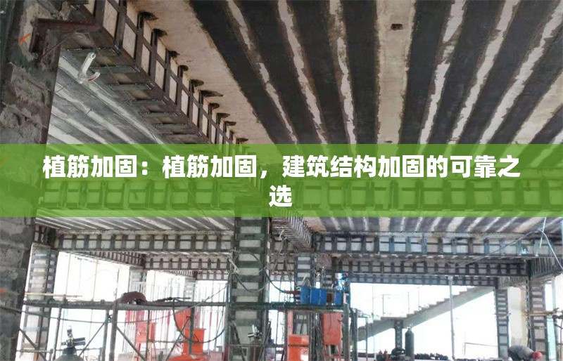 植筋加固：植筋加固，建筑結(jié)構(gòu)加固的可靠之選