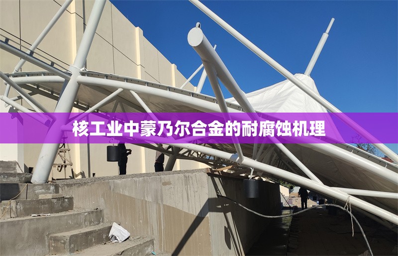 核工業(yè)中蒙乃爾合金的耐腐蝕機理 行業(yè)新聞 第1張 核工業(yè)中蒙乃爾合金的耐腐蝕機理 行業(yè)新聞 第1張