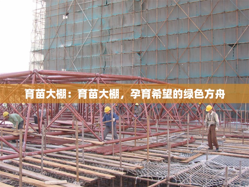 育苗大棚：育苗大棚，孕育希望的綠色方舟 行業(yè)新聞