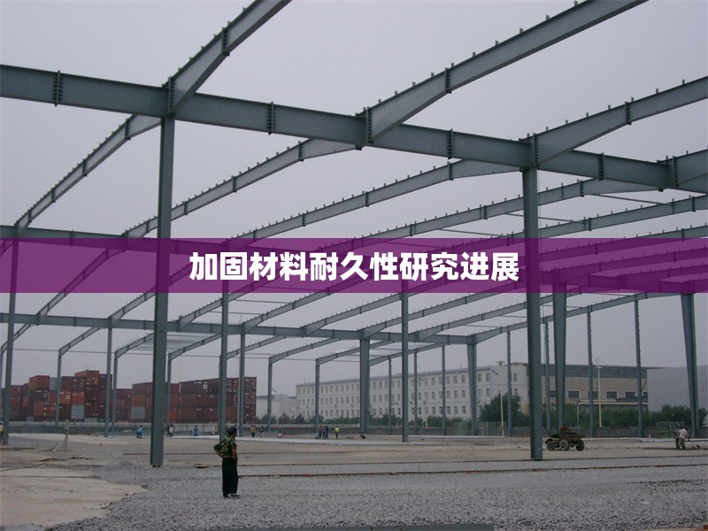 加固材料耐久性研究進展 行業(yè)新聞 第1張