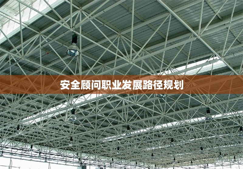 安全顧問職業(yè)發(fā)展路徑規(guī)劃 行業(yè)新聞 第1張