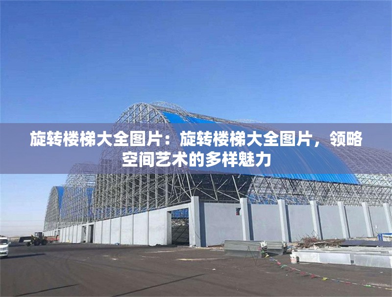 旋轉(zhuǎn)樓梯大全圖片：旋轉(zhuǎn)樓梯大全圖片，領(lǐng)略空間藝術(shù)的多樣魅力