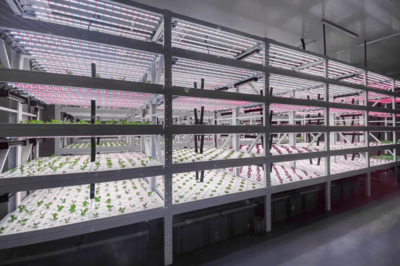 加固工程案例視頻展示 行業(yè)新聞 第2張 加固工程案例視頻展示 行業(yè)新聞 第2張